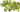 Top 10 Peridot Stone Benefits You'll Wish You Knew Sooner