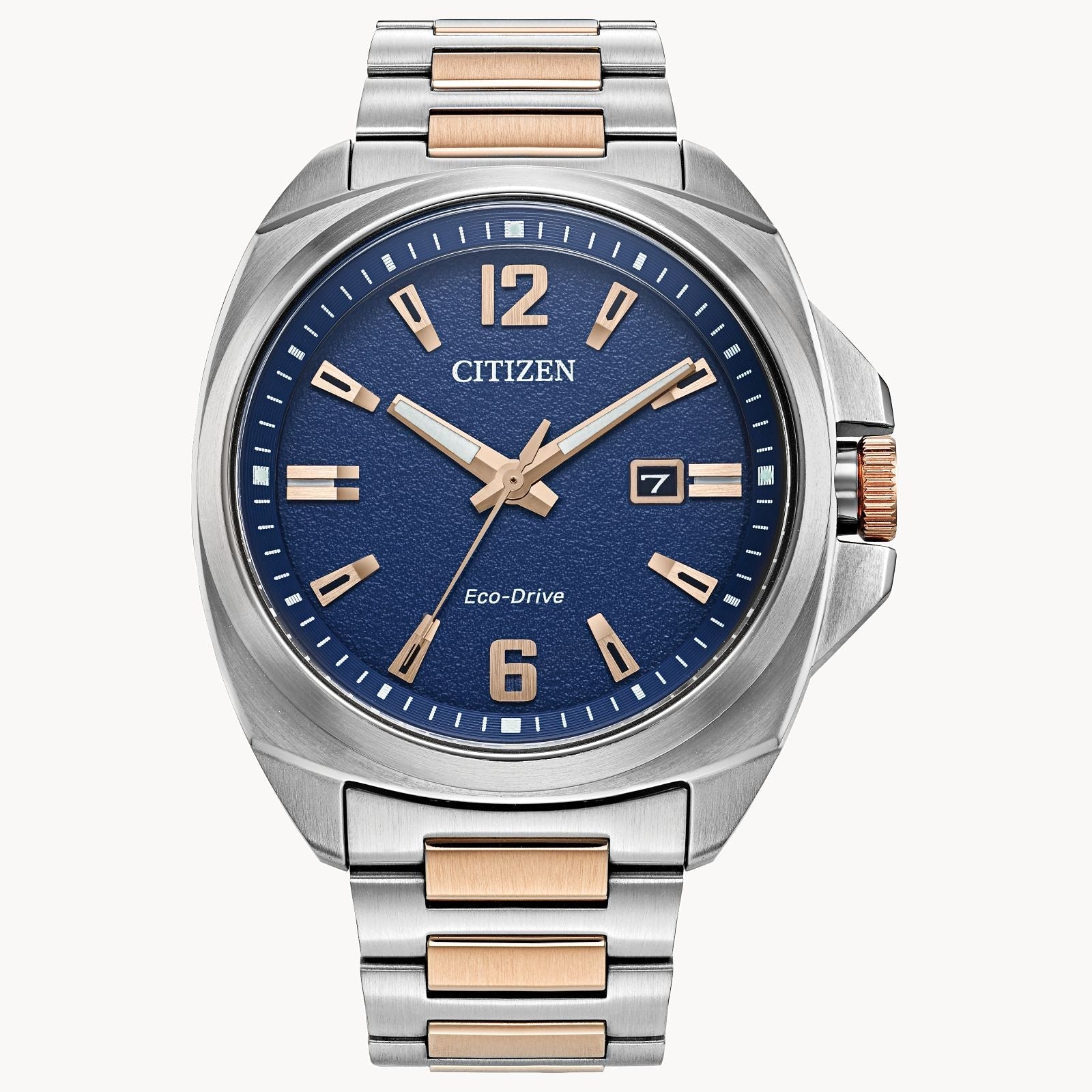 Citizen Endicott,AW1726-55L