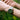 Seiko 5 Sports Field GMT Watch HDB001