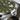 hamilton-khaki-aviation-pilot-auto-39mm-h76305560