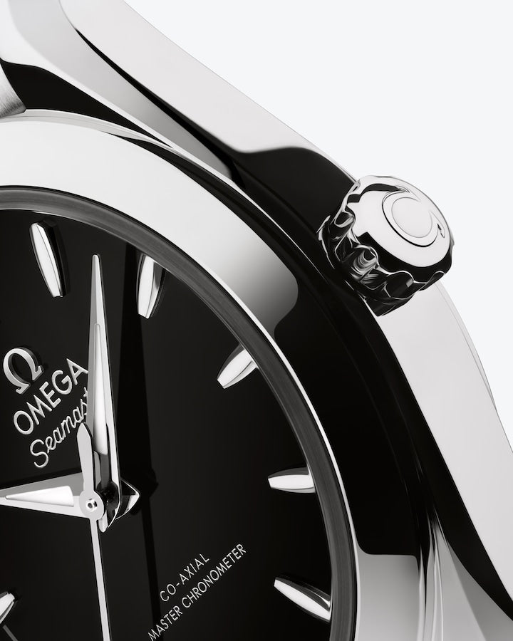 Omega Seamaster Aqua Terra 150M 30 mm, steel on steel Self Winding Watch 220.10.30.20.01.001