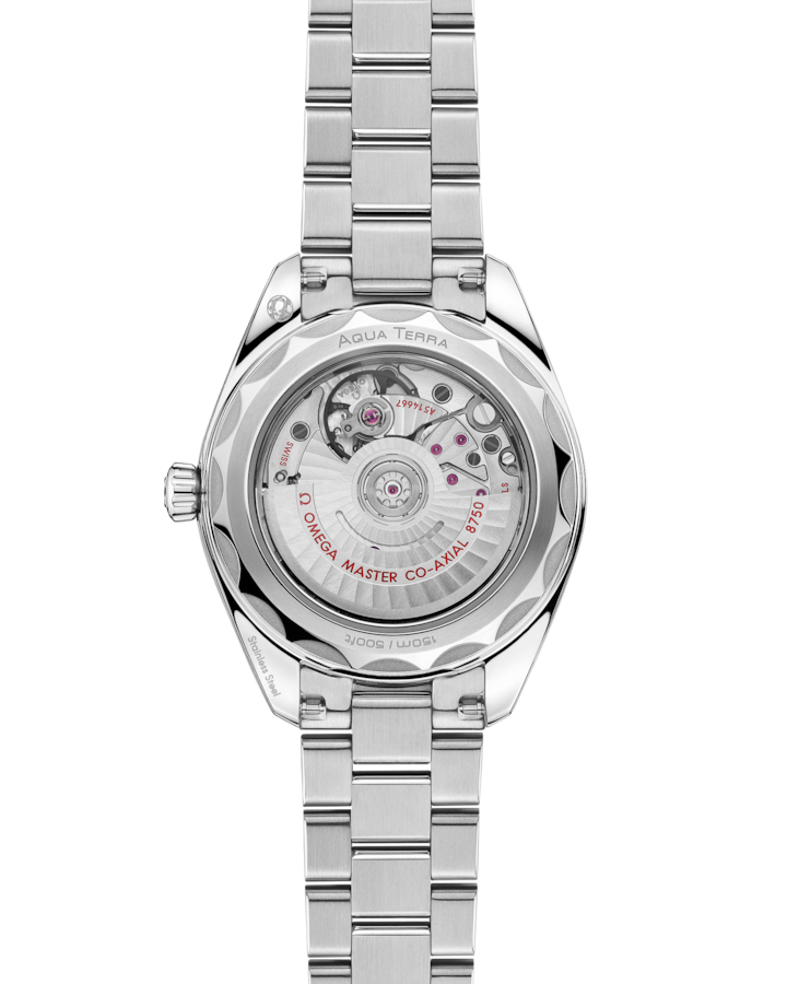Omega Seamaster Aqua Terra 150M 30 mm, steel on steel Self Winding Watch 220.10.30.20.03.001
