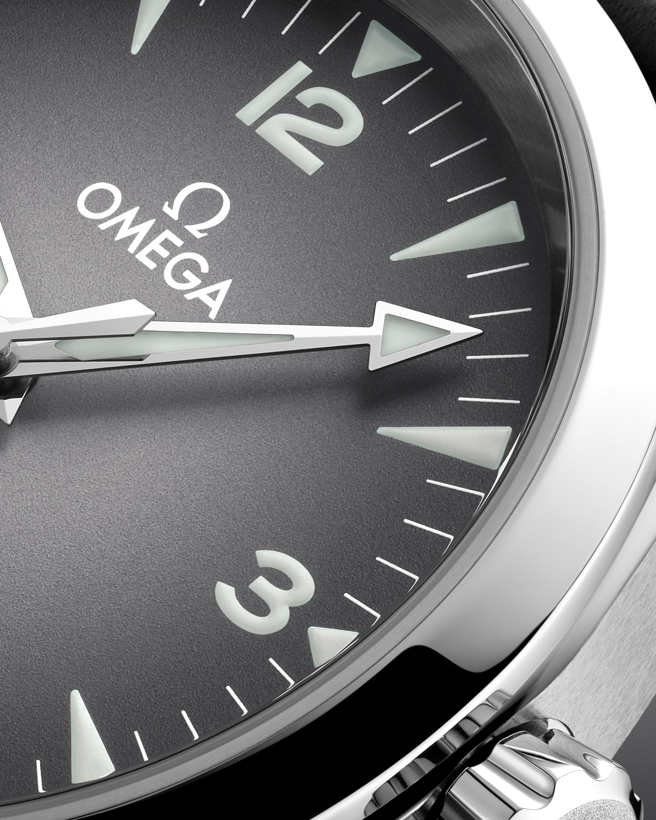 Omega Seamaster Railmaster 38 mm, steel on leather strap Self Winding Watch 235.12.38.20.06.001